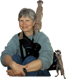 Roberta Stacy & meerkats